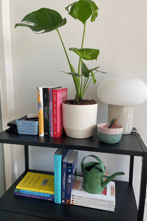 Grace bookcase landscape